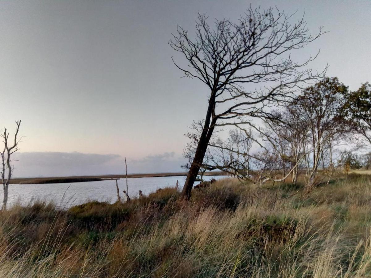 Haus Meererleben - Urlaub Mit Hund An Der Nordsee Schweiburg Exteriér fotografie
